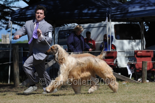 DOG_8221.JPG