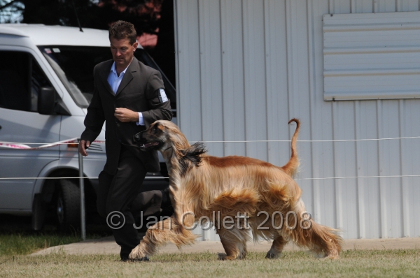 DOG_8234.JPG