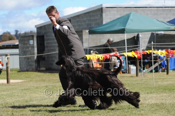 DOG_8248.JPG