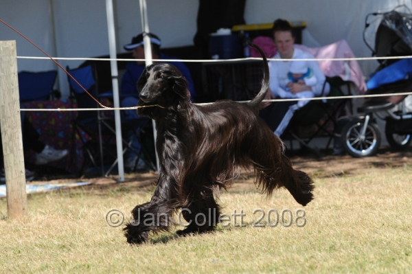 DOG_8255.JPG