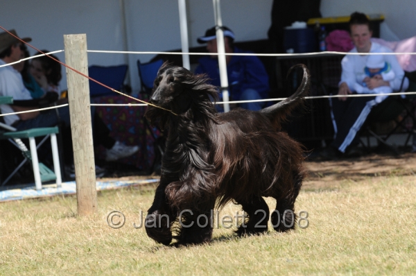 DOG_8256.JPG