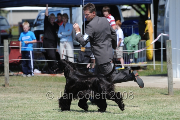 DOG_8259.JPG