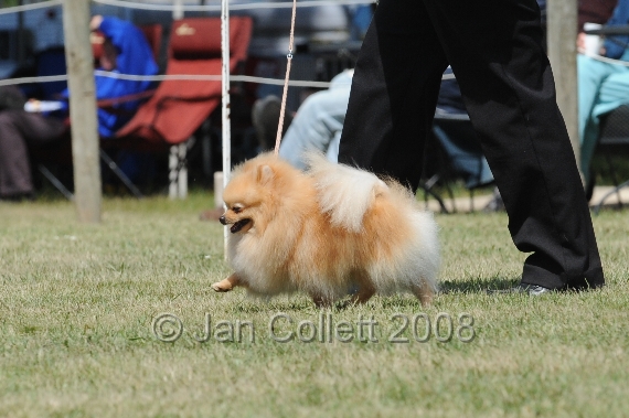 DOG_8280.JPG