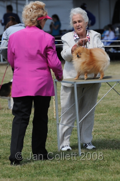 DOG_8287.JPG