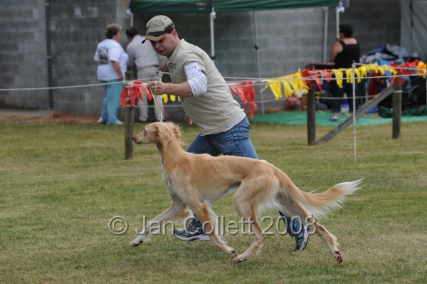 DOG_8367.JPG