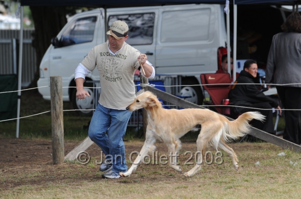 DOG_8373.JPG