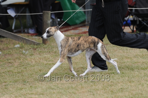 DOG_8383.JPG