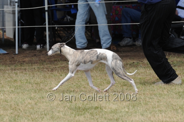 DOG_8389.JPG