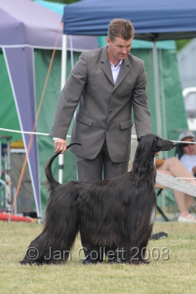 DOG_8429.JPG
