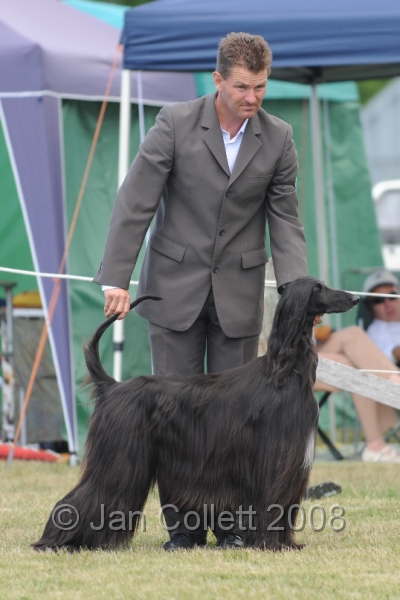 DOG_8430.JPG