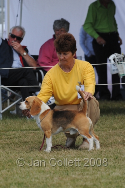 DOG_8433.JPG