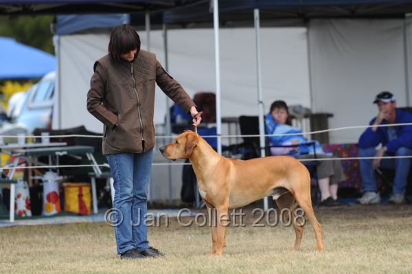 DOG_8438.JPG