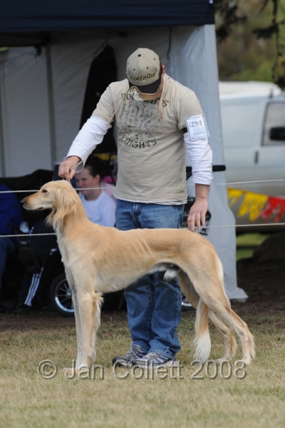 DOG_8440.JPG