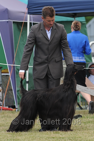 DOG_8441.JPG