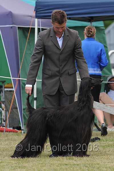 DOG_8442.JPG