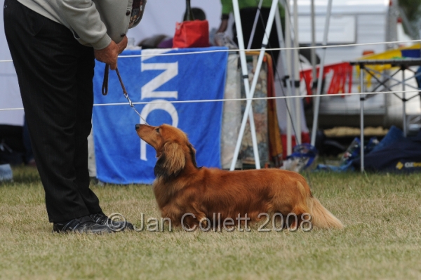 DOG_8444.JPG