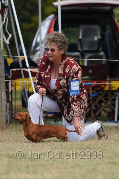 DOG_8445.JPG