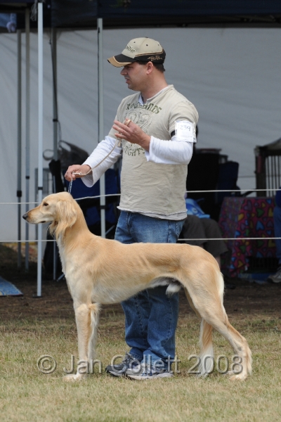 DOG_8460.JPG