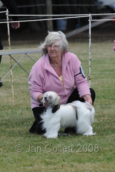 DOG_8472.JPG