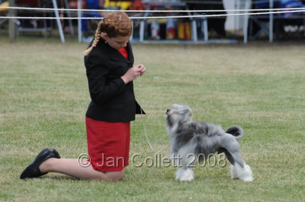 DOG_8474.JPG