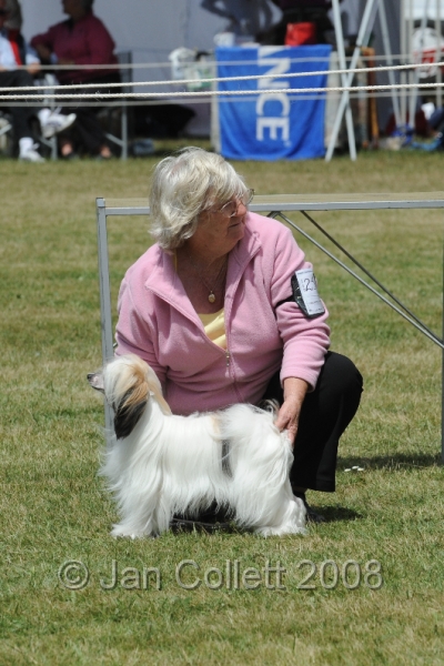 DOG_8479.JPG