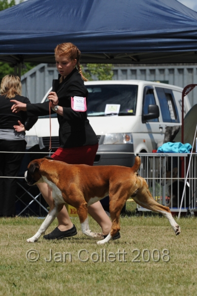 DOG_8512.JPG