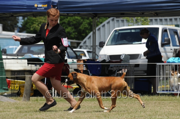 DOG_8525.JPG