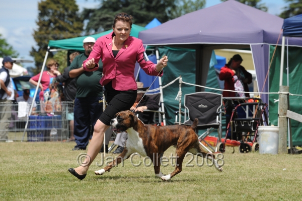 DOG_8532.JPG