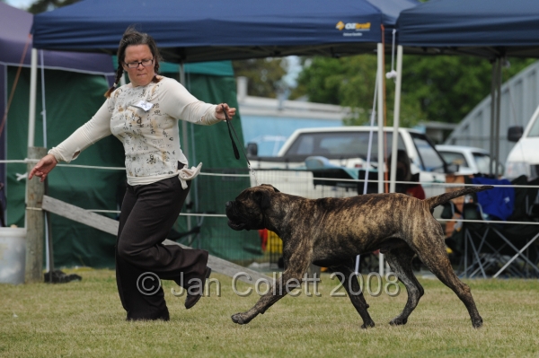 DOG_8545.JPG