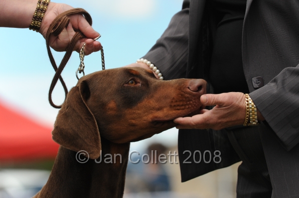 DOG_8551.JPG