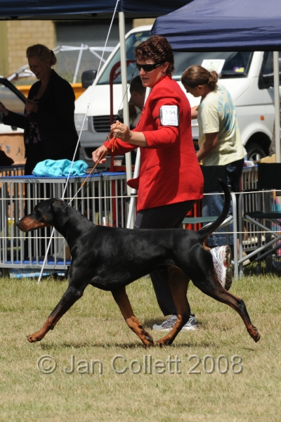 DOG_8568.JPG