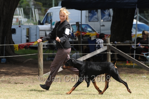 DOG_8573.JPG