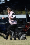 DOG_7722