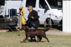 DOG_7834
