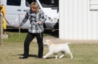 DOG_7835
