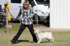 DOG_7836