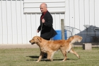 DOG_7840