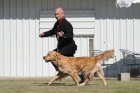 DOG_7849