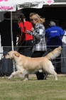 DOG_7863