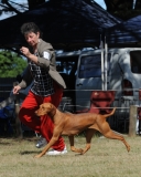 DOG_7962