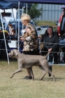 DOG_8040
