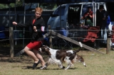 DOG_8125