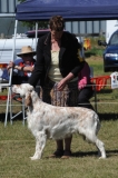 DOG_8188