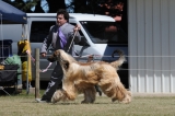 DOG_8218