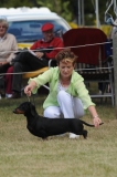 DOG_8436