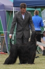 DOG_8441