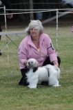 DOG_8472