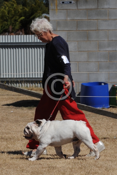 DOG_3455.JPG