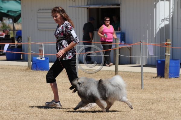 DOG_3683.JPG