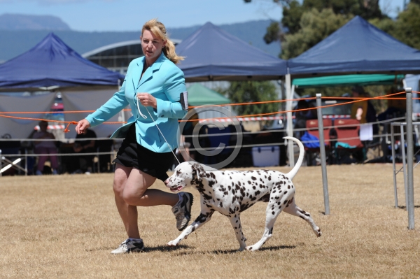 DOG_3725.JPG